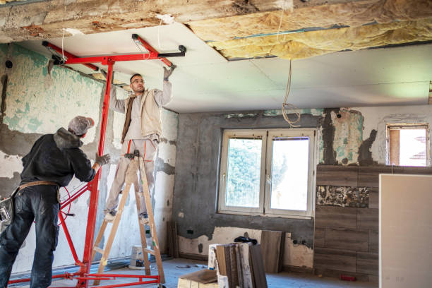 Best Insulation Contractors for Homes  in Spearville, KS